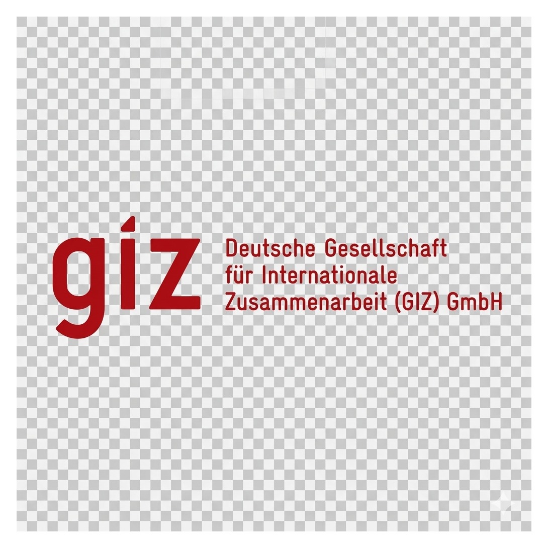 الوكالة الألمانية للتعاون الدولي (GIZ)
